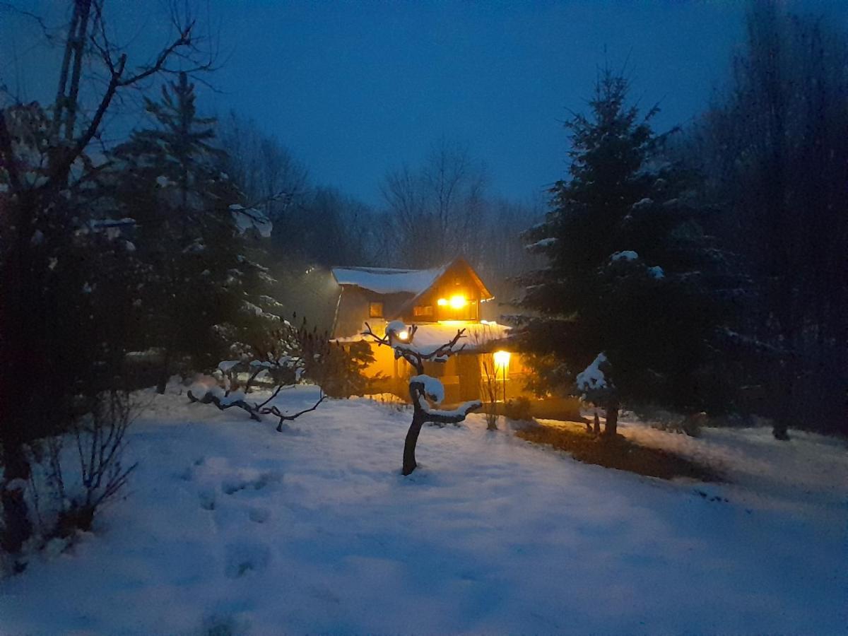 Cabana Din Padurea Valeni Vălenii de Munte Eksteriør billede