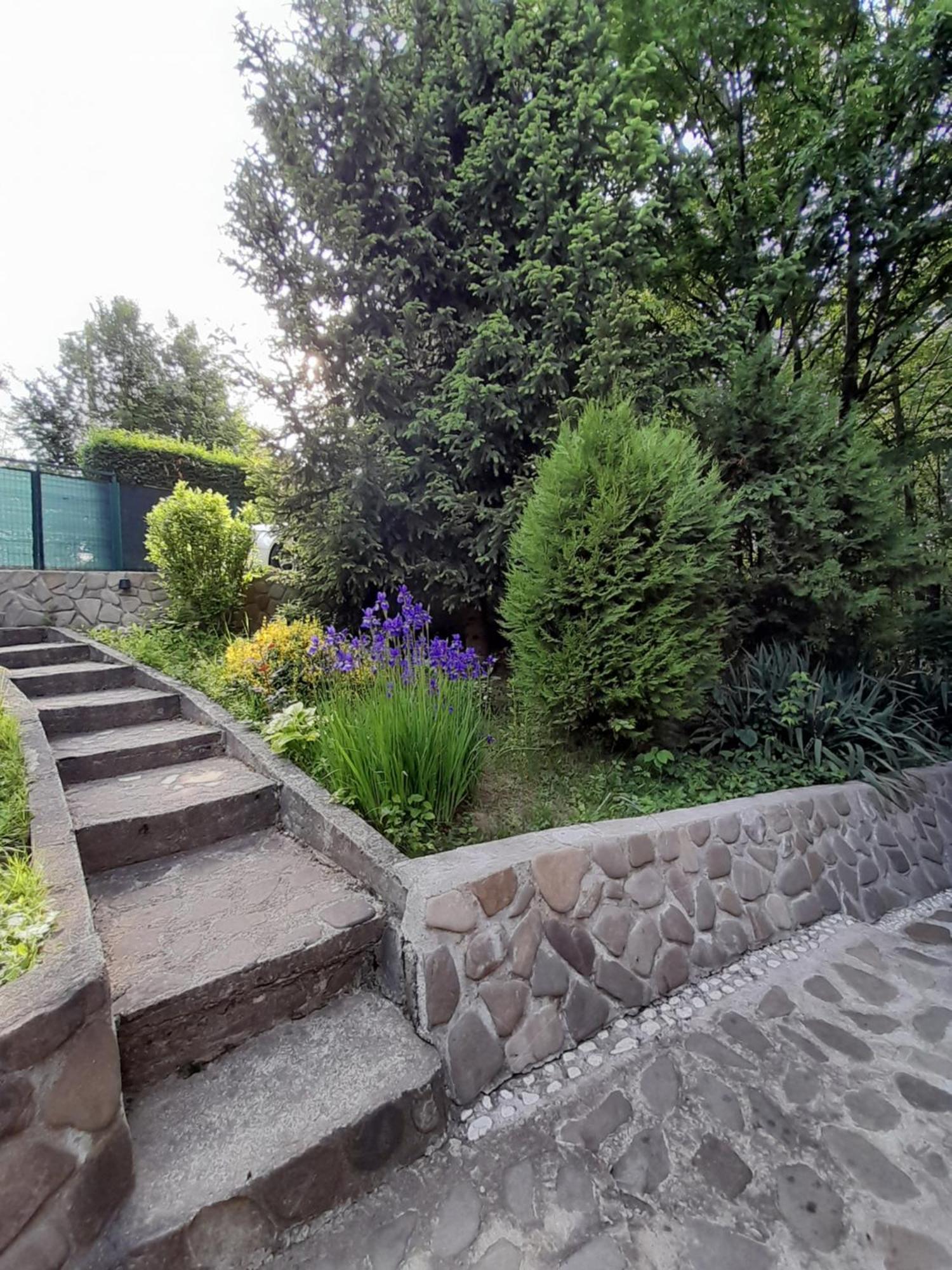 Cabana Din Padurea Valeni Vălenii de Munte Eksteriør billede