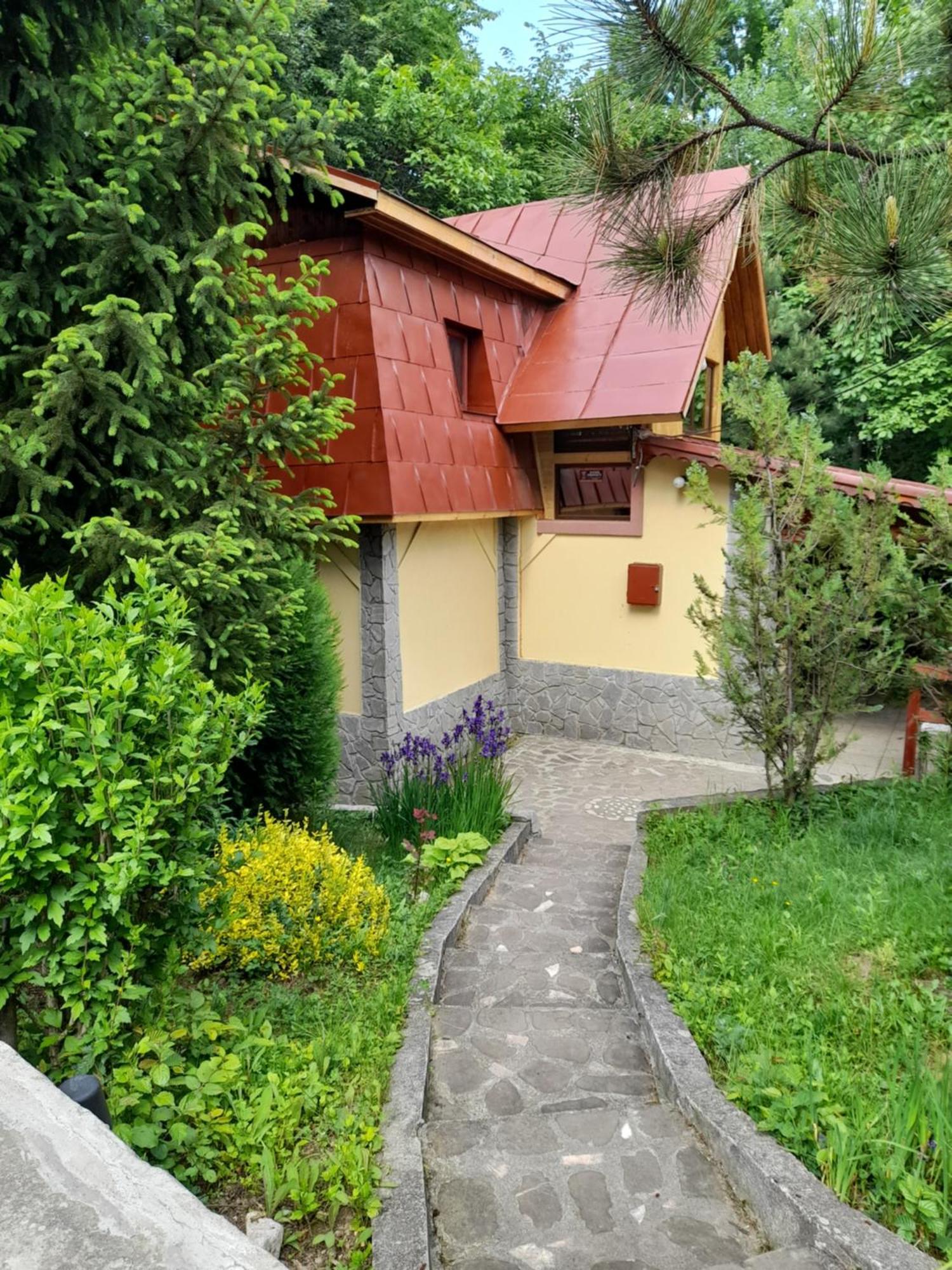 Cabana Din Padurea Valeni Vălenii de Munte Eksteriør billede